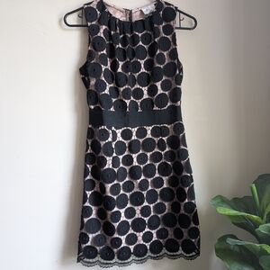 Milly Black Lace Dot Mini Dress with Blush Underlay